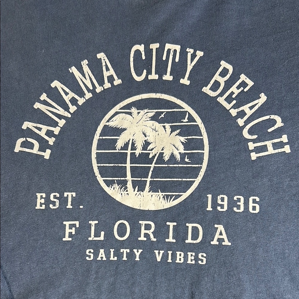 US VINTAGE Blue Long Sleeve Panama City Beach Crop Top - Picture 2 of 5